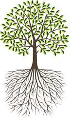 Rooted In Jesus