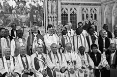 Primates Meeting 1991 Newcastle Northern Ireland 1