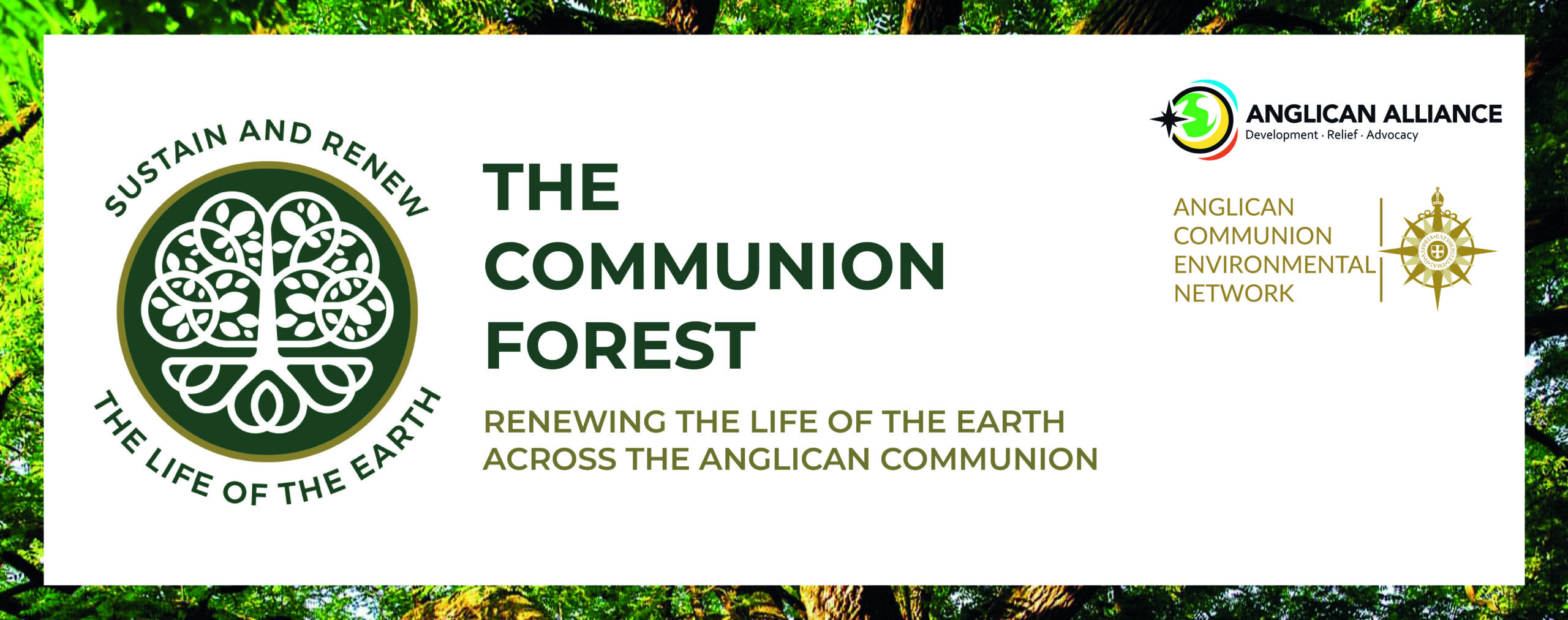 The Communion Forest