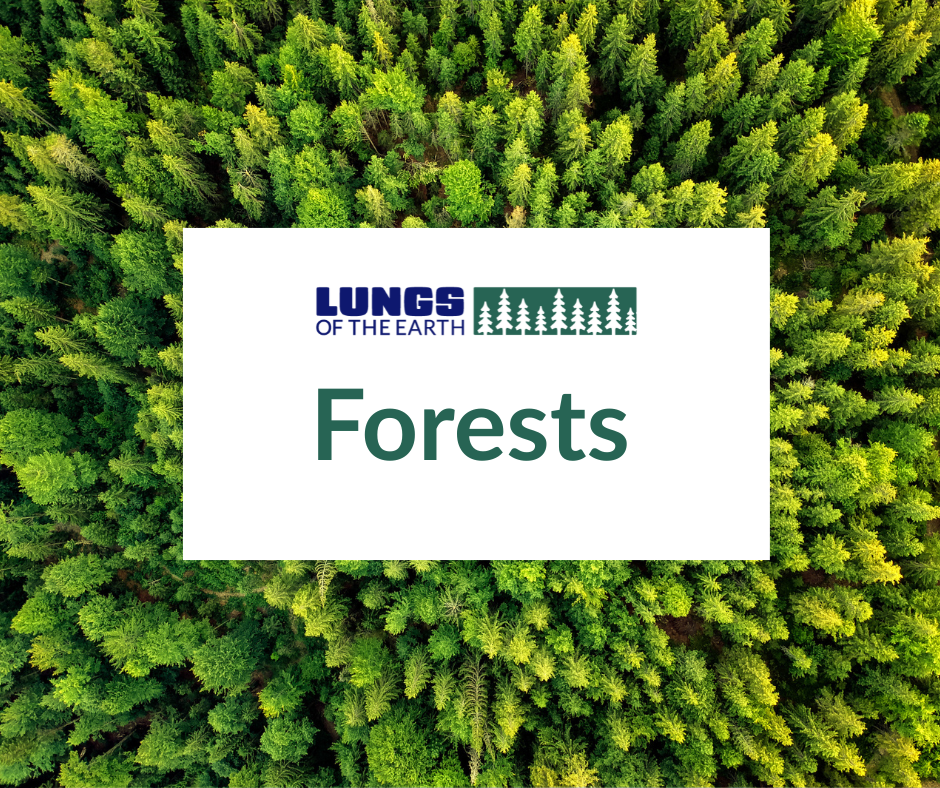 Forests